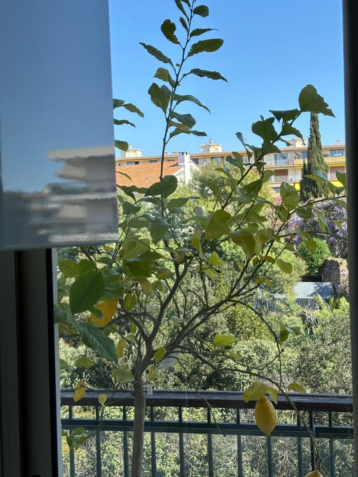 Appartement Blue Riviera Luxe